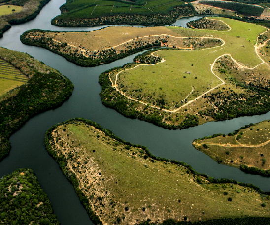 Fazenda Dedo de Deus