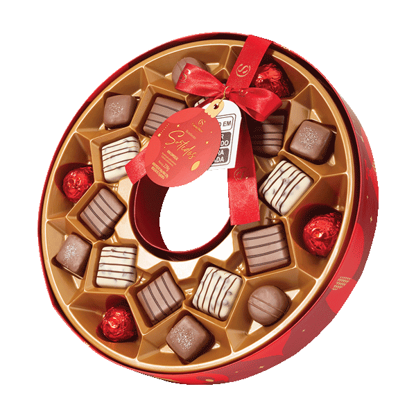 GUIRLANDA DE NATAL 260G