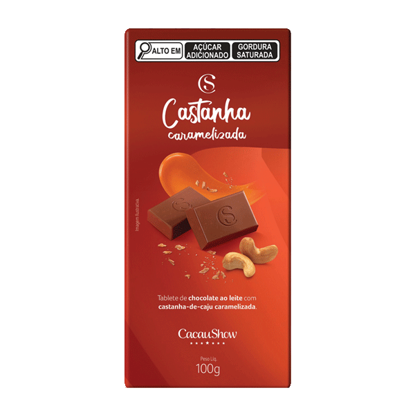 TABLETE AO LEITE CASTANHA CAJU 100G