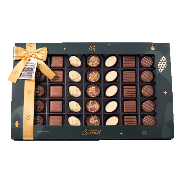CAIXA GOURMET 460G